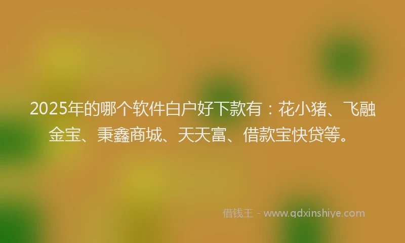 2025年的哪个软件白户好下款有：花小猪、飞融金宝、秉鑫商城、天天富、借款宝快贷等。