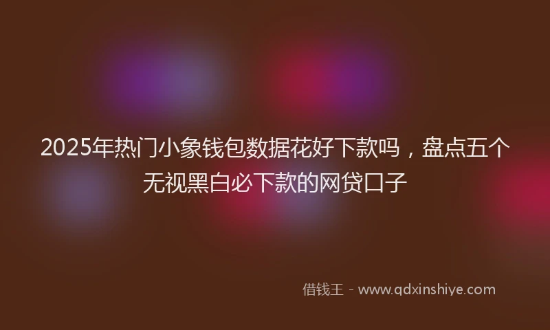 2025年热门小象钱包数据花好下款吗，盘点五个无视黑白必下款的网贷口子