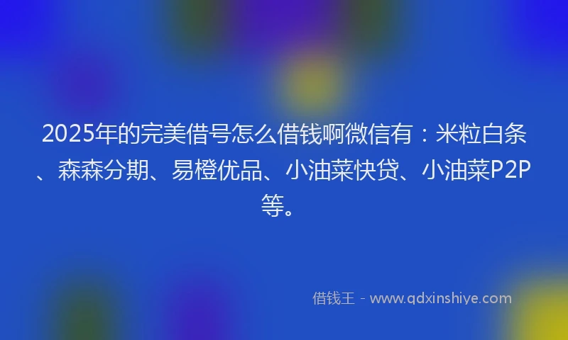 2025年的完美借号怎么借钱啊微信有：米粒白条、森森分期、易橙优品、小油菜快贷、小油菜P2P等。