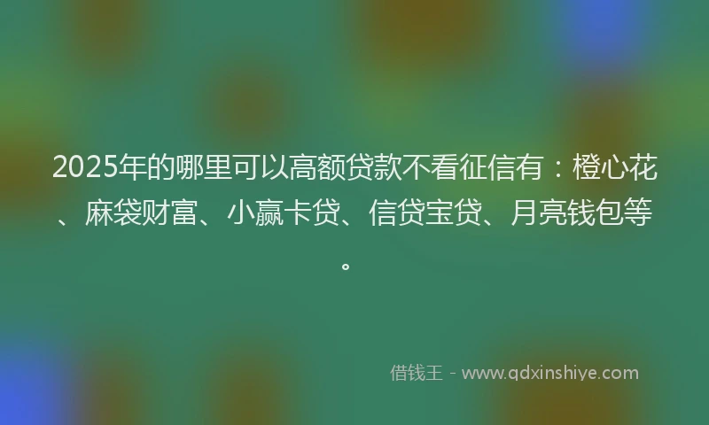 2025年的哪里可以高额贷款不看征信有：橙心花、麻袋财富、小赢卡贷、信贷宝贷、月亮钱包等。