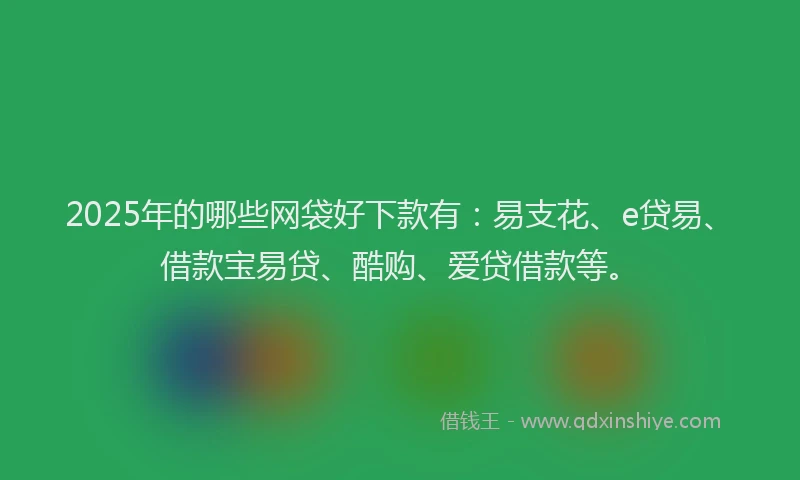 2025年的哪些网袋好下款有：易支花、e贷易、借款宝易贷、酷购、爱贷借款等。