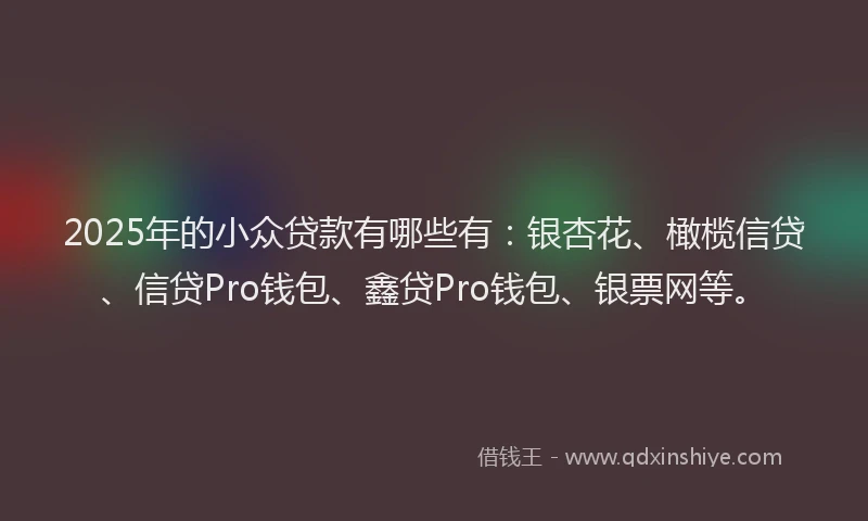 2025年的小众贷款有哪些有：银杏花、橄榄信贷、信贷Pro钱包、鑫贷Pro钱包、银票网等。