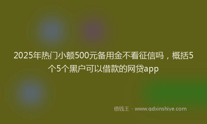 2025年热门小额500元备用金不看征信吗，概括5个5个黑户可以借款的网贷app