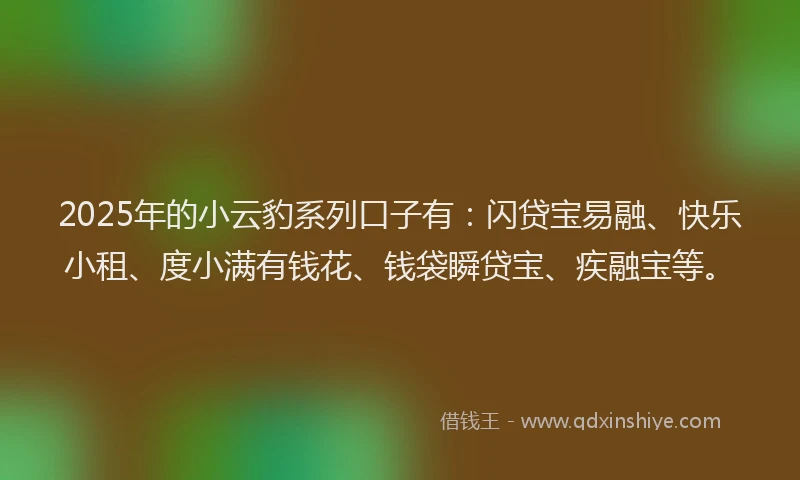 2025年的小云豹系列口子有：闪贷宝易融、快乐小租、度小满有钱花、钱袋瞬贷宝、疾融宝等。