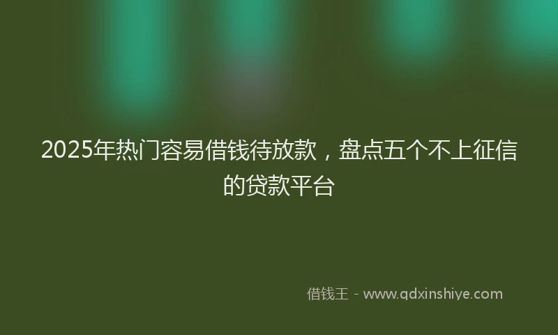 2025年热门容易借钱待放款，盘点五个不上征信的贷款平台