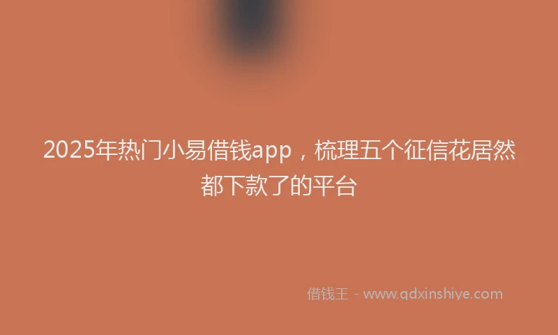 2025年热门小易借钱app,梳理五个征信花居然都下款了的平台
