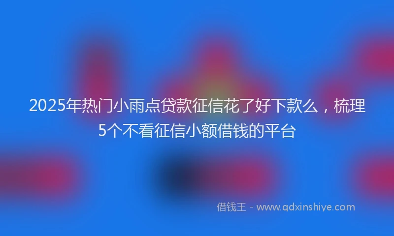 2025年热门小雨点贷款征信花了好下款么，梳理5个不看征信小额借钱的平台