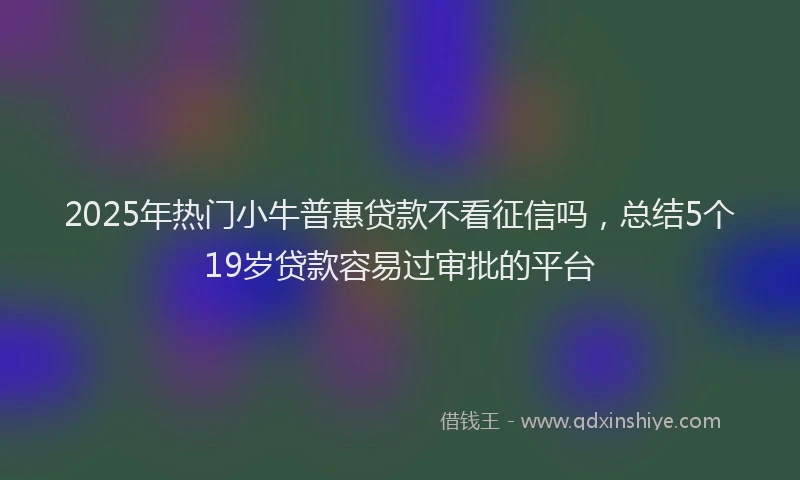 2025年热门小牛普惠贷款不看征信吗，总结5个19岁贷款容易过审批的平台
