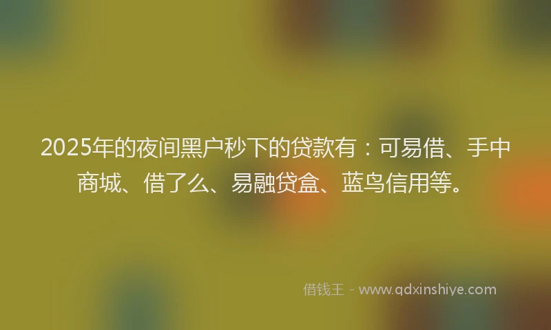2025年的夜间黑户秒下的贷款有：可易借、手中商城、借了么、易融贷盒、蓝鸟信用等。