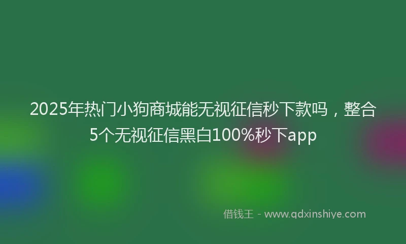 2025年热门小狗商城能无视征信秒下款吗，整合5个无视征信黑白100%秒下app