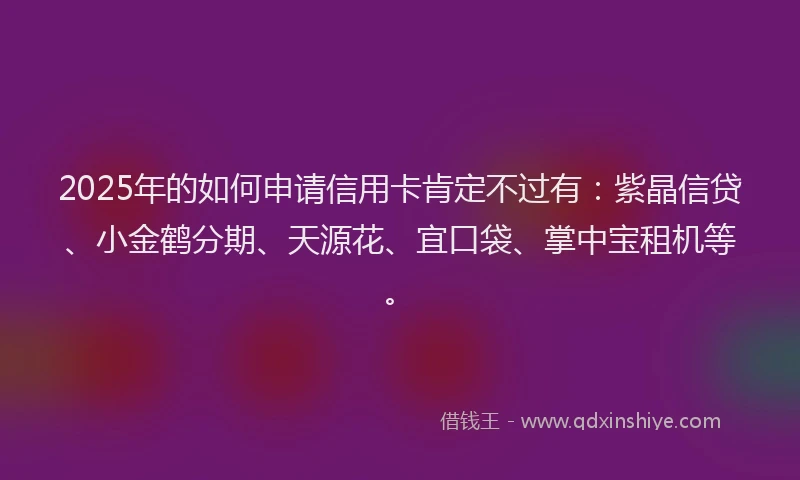 2025年的如何申请信用卡肯定不过有：紫晶信贷、小金鹤分期、天源花、宜口袋、掌中宝租机等。
