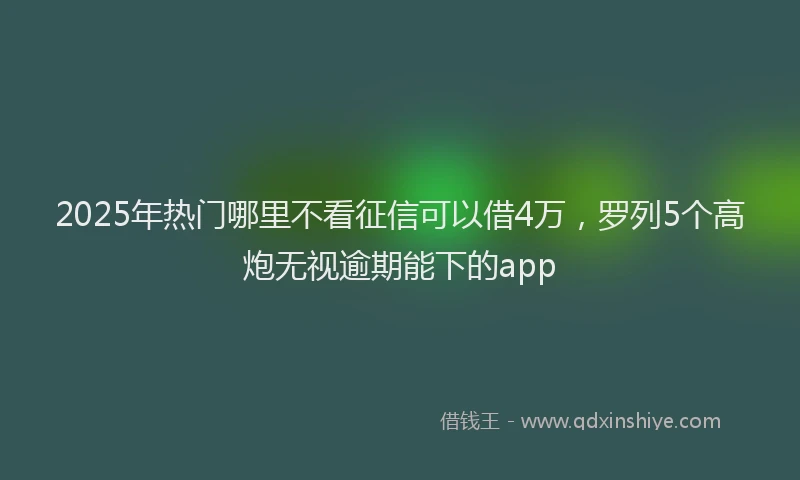 2025年热门哪里不看征信可以借4万，罗列5个高炮无视逾期能下的app