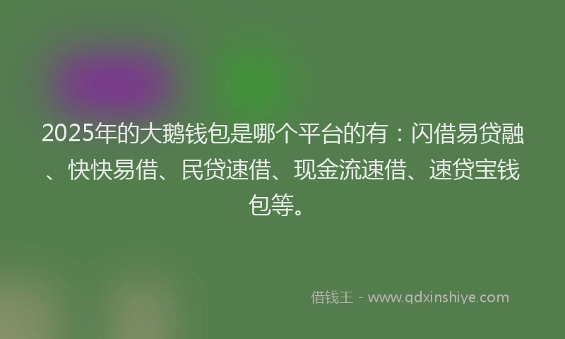 2025年的大鹅钱包是哪个平台的有：闪借易贷融、快快易借、民贷速借、现金流速借、速贷宝钱包等。