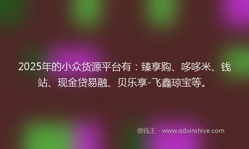 2025年的小众货源平台有：臻享购、哆哆米、钱站、现金贷易融、贝乐享-飞鑫琼宝等。