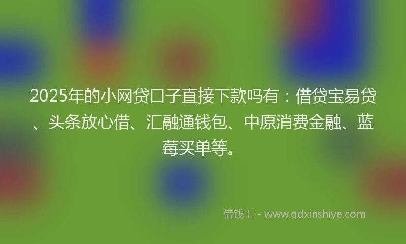 2025年的小网贷口子直接下款吗有：借贷宝易贷、头条放心借、汇融通钱包、中原消费金融、蓝莓买单等。