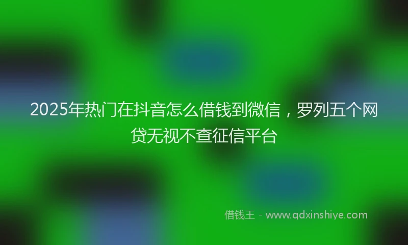 2025年热门在抖音怎么借钱到微信，罗列五个网贷无视不查征信平台