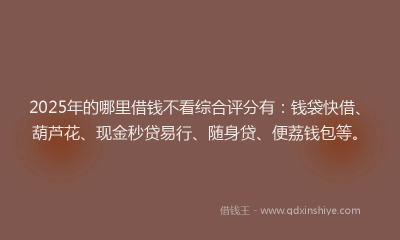 2025年的哪里借钱不看综合评分有：钱袋快借、葫芦花、现金秒贷易行、随身贷、便荔钱包等。