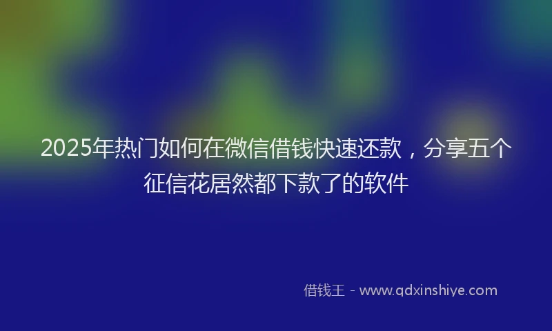 2025年热门如何在微信借钱快速还款，分享五个征信花居然都下款了的软件