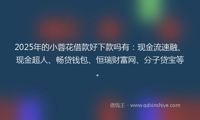 2025年的小蓉花借款好下款吗有：现金流速融、现金超人、畅贷钱包、恒瑞财富网、分子贷宝等。