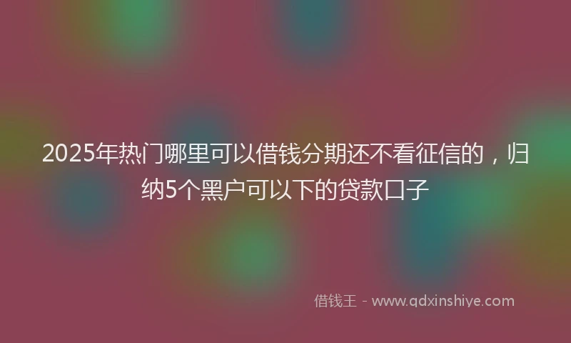 2025年热门哪里可以借钱分期还不看征信的，归纳5个黑户可以下的贷款口子