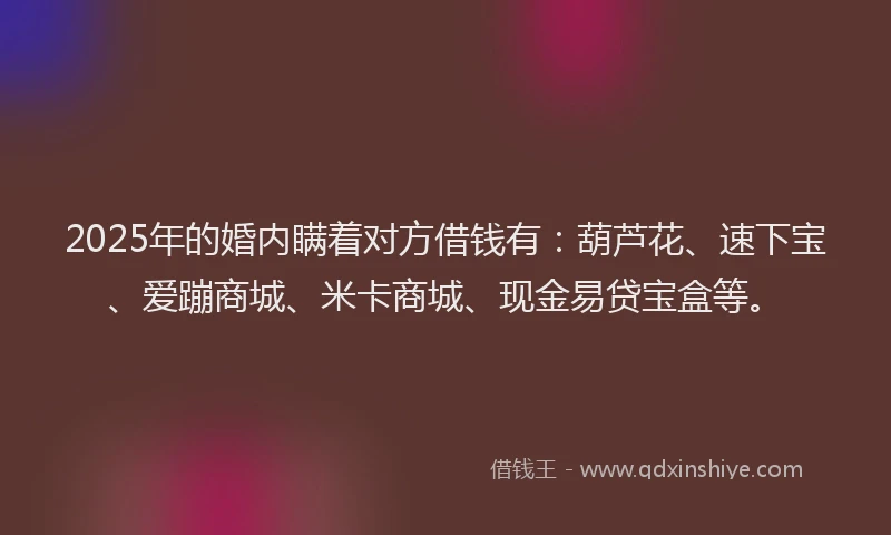 2025年的婚内瞒着对方借钱有：葫芦花、速下宝、爱蹦商城、米卡商城、现金易贷宝盒等。