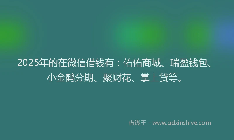 2025年的在微信借钱有：佑佑商城、瑞盈钱包、小金鹤分期、聚财花、掌上贷等。