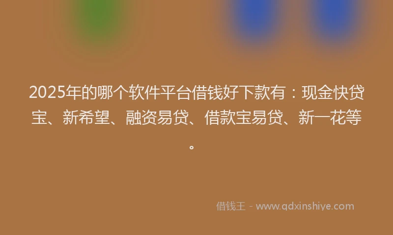2025年的哪个软件平台借钱好下款有：现金快贷宝、新希望、融资易贷、借款宝易贷、新一花等。