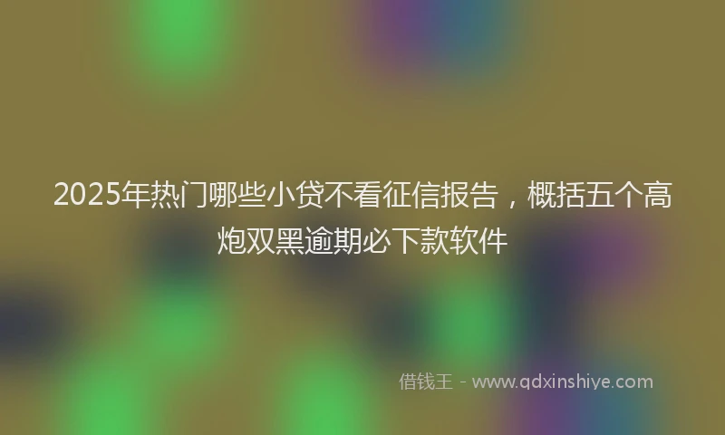 2025年热门哪些小贷不看征信报告，概括五个高炮双黑逾期必下款软件