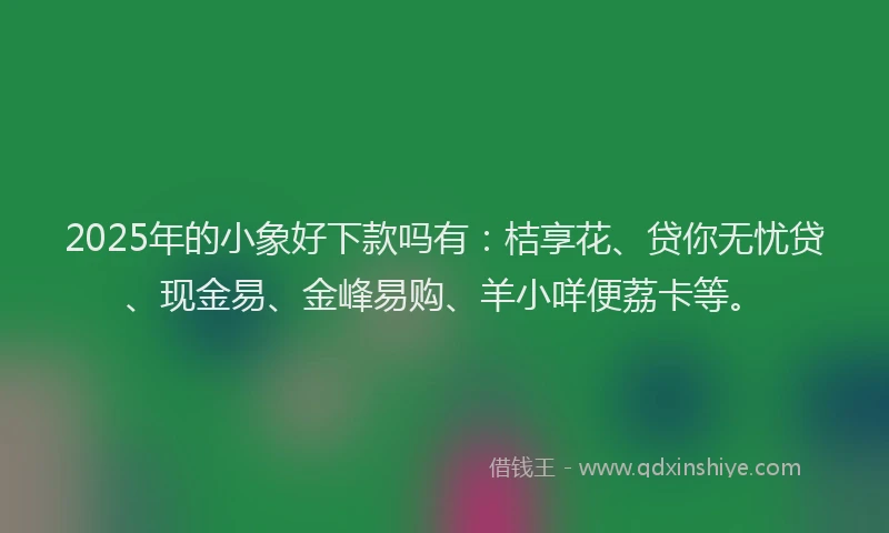 2025年的小象好下款吗有：桔享花、贷你无忧贷、现金易、金峰易购、羊小咩便荔卡等。