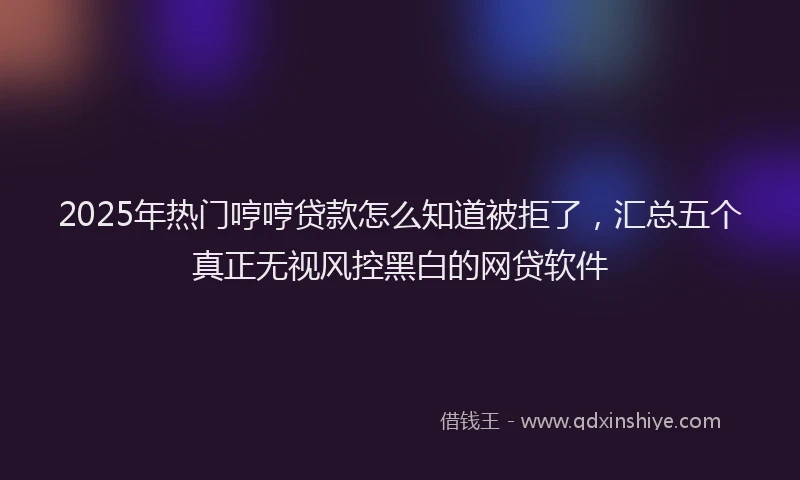 2025年热门哼哼贷款怎么知道被拒了，汇总五个真正无视风控黑白的网贷软件