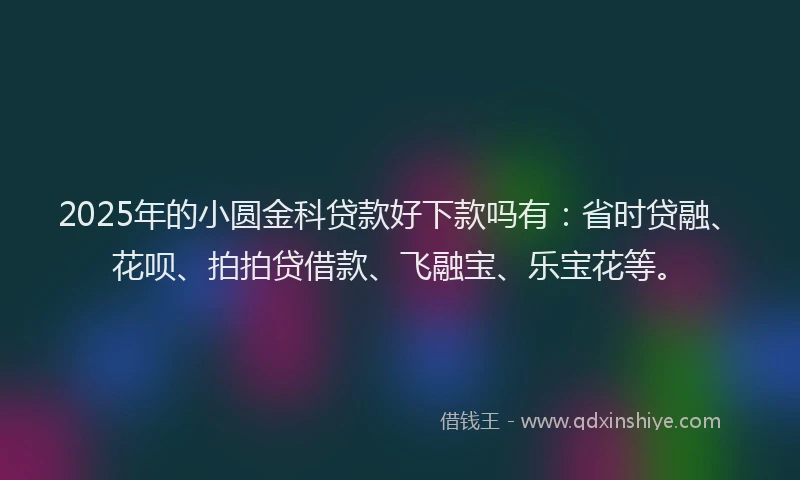 2025年的小圆金科贷款好下款吗有：省时贷融、花呗、拍拍贷借款、飞融宝、乐宝花等。