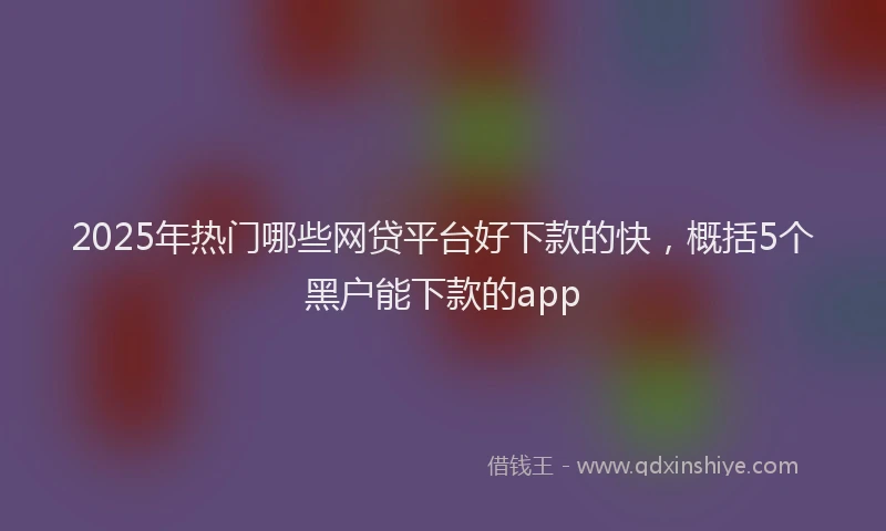 2025年热门哪些网贷平台好下款的快，概括5个黑户能下款的app