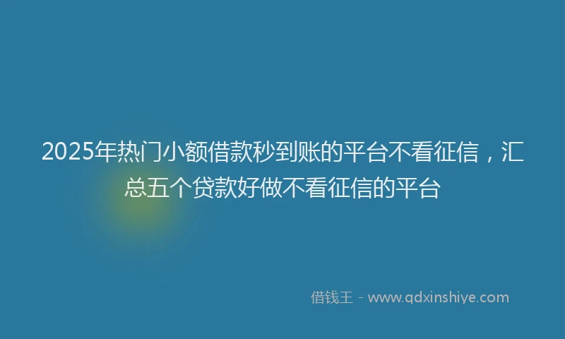 2025年热门小额借款秒到账的平台不看征信，汇总五个贷款好做不看征信的平台