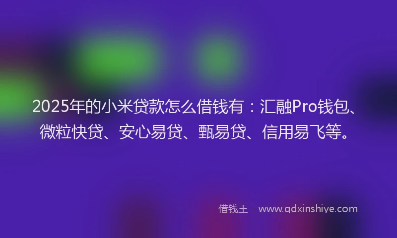 2025年的小米贷款怎么借钱有：汇融Pro钱包、微粒快贷、安心易贷、甄易贷、信用易飞等。