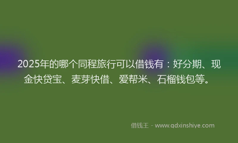 2025年的哪个同程旅行可以借钱有：好分期、现金快贷宝、麦芽快借、爱帮米、石榴钱包等。