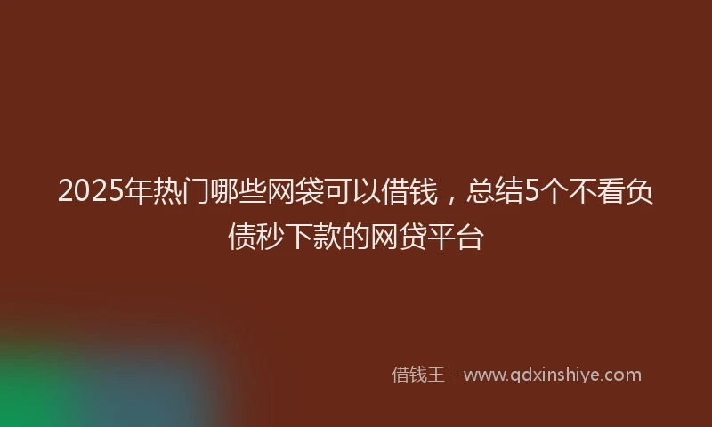 2025年热门哪些网袋可以借钱，总结5个不看负债秒下款的网贷平台