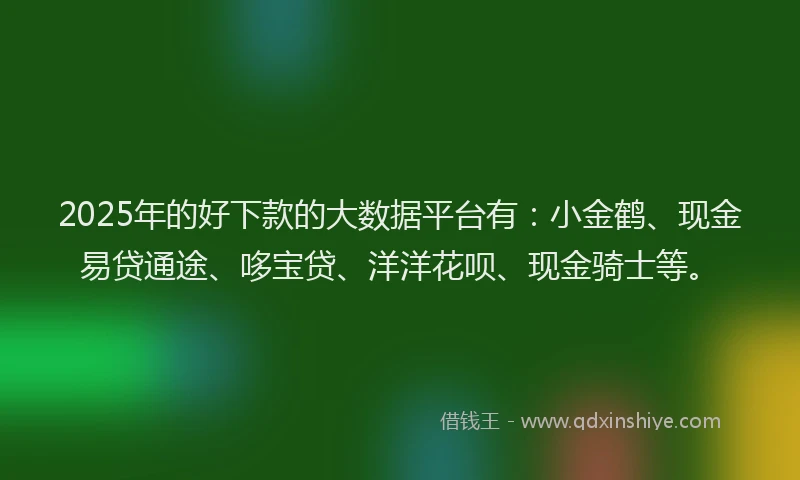 2025年的好下款的大数据平台有：小金鹤、现金易贷通途、哆宝贷、洋洋花呗、现金骑士等。