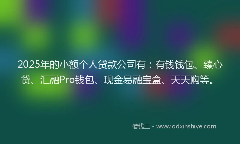 2025年的小额个人贷款公司有：有钱钱包、臻心贷、汇融Pro钱包、现金易融宝盒、天天购等。