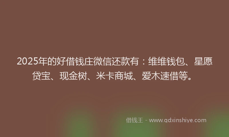 2025年的好借钱庄微信还款有：维维钱包、星愿贷宝、现金树、米卡商城、爱木速借等。