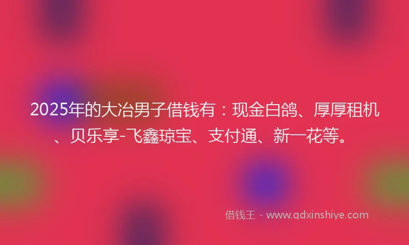 2025年的大冶男子借钱有：现金白鸽、厚厚租机、贝乐享-飞鑫琼宝、支付通、新一花等。