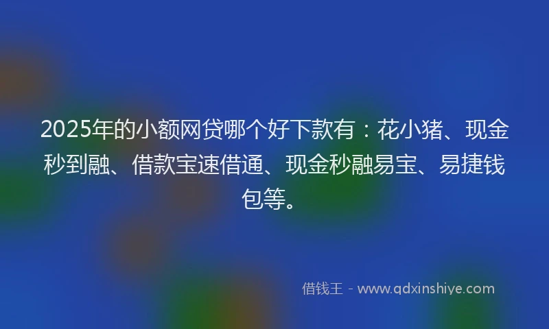 2025年的小额网贷哪个好下款有:花小猪、现金秒到融、借款宝速借通、现金秒融易宝、易捷钱包等。