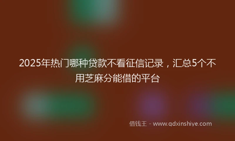 2025年热门哪种贷款不看征信记录，汇总5个不用芝麻分能借的平台