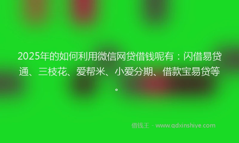 2025年的如何利用微信网贷借钱呢有：闪借易贷通、三枝花、爱帮米、小爱分期、借款宝易贷等。