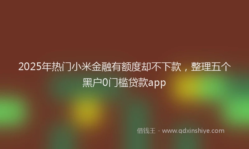 2025年热门小米金融有额度却不下款，整理五个黑户0门槛贷款app