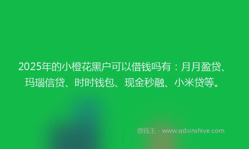 2025年的小橙花黑户可以借钱吗有:月月盈贷、玛瑙信贷、时时钱包、现金秒融、小米贷等。