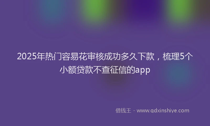 2025年热门容易花审核成功多久下款，梳理5个小额贷款不查征信的app
