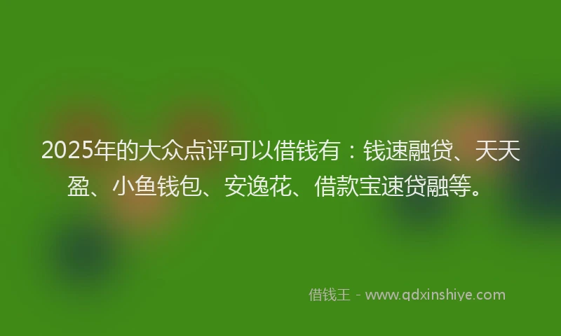 2025年的大众点评可以借钱有：钱速融贷、天天盈、小鱼钱包、安逸花、借款宝速贷融等。