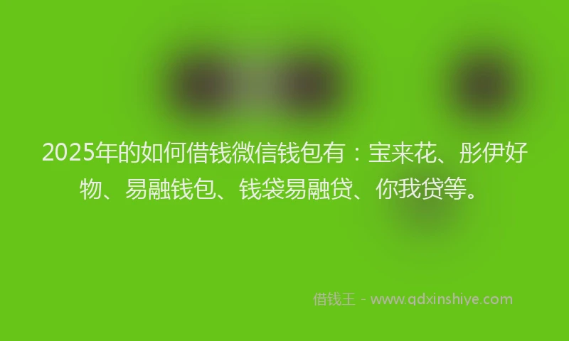 2025年的如何借钱微信钱包有：宝来花、彤伊好物、易融钱包、钱袋易融贷、你我贷等。