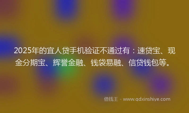 2025年的宜人贷手机验证不通过有:速贷宝、现金分期宝、辉誉金融、钱袋易融、信贷钱包等。