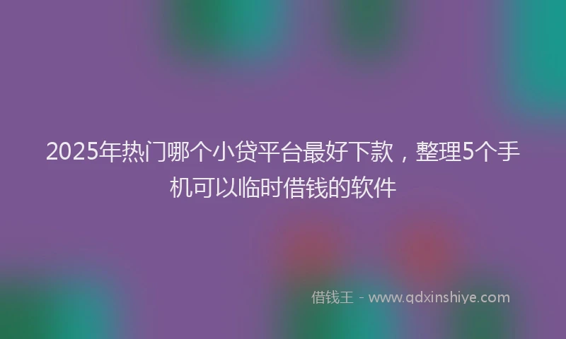 2025年热门哪个小贷平台最好下款，整理5个手机可以临时借钱的软件